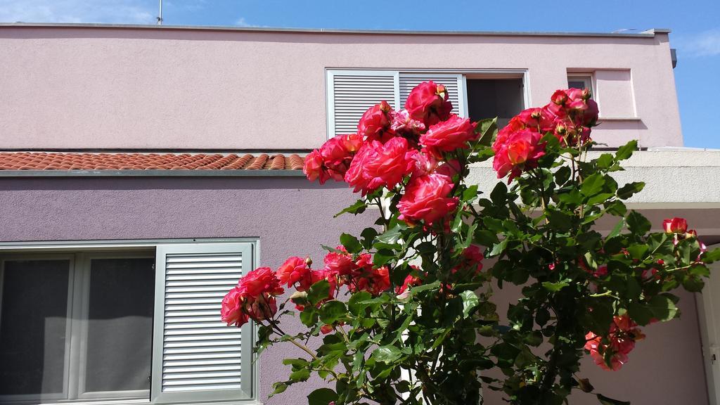 Apartment Ika Zadar Værelse billede